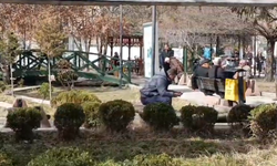 Van'da bahar havası