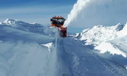 Van’da 87 yerleşim yeri  yolu kapalı