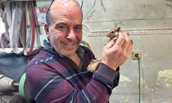 Bıçak Ustası ve Sincabının Dostluğu Görenleri Hayrete Düşürüyor