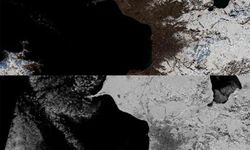 Van Gölü Havzasında Umutlandıran Görüntüler