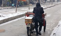 Van’da kar yağışı etkili oldu: Ulaşımda aksama meydana geldi