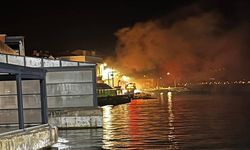 Gelibolu’da alevler yükseldi: Yangın korkuttu