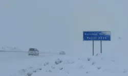 Van'da Kar Yağışı Bekleniyor: Çığ Tehlikesine Dikkat