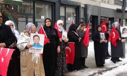 Vanlı Anne Nazlı Sancar’dan Yürek Burkan Çağrı