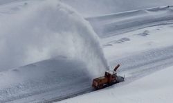 Van ve bölge genelinde çığ ve don uyarısı!