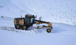 Van'da karla mücadele: 27 yerleşim yerinin yolu ulaşıma kapalı