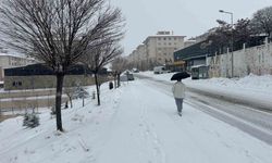 Van'da kar yağışı ulaşımı aksattı