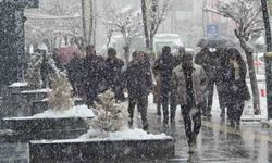 Van ve bölge genelinde kar yağışı uyarısı