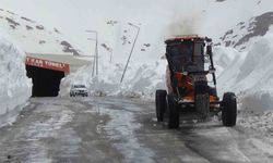 Türkiye’de kar rekoru Van’da kırıldı
