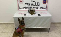 Van’da uyuşturucu operasyonu: 1 kilo 64 gram skunk ele geçirildi