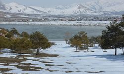 Van'da bahar yüzünü gösterdi