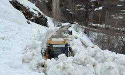 Bahçesaray’da çığ nedeniyle yollar ulaşıma kapandı