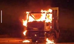 Van’da çöp kamyonu alevlere teslim oldu