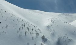 Meteorolojiden Van için "Kuvvetli yağış ve çığ" uyarısı!