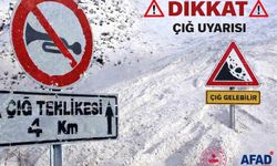 AFAD’dan Van için çığ uyarısı