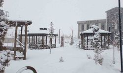 Başkale’de kar yağışı etkili oldu