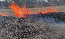 Van’ın Gevaş ilçesinde anız yangını