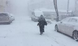 Van ve bölge genelinde yağışlı hava ve çığ uyarısı