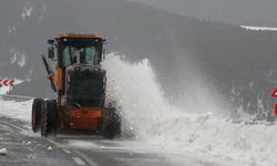 Van’da 10 yerleşim yerinin yolu kar nedeniyle ulaşıma kapandı