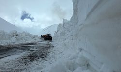 Van Bahçesaray yolu 3 ay sonra yeniden açılıyor