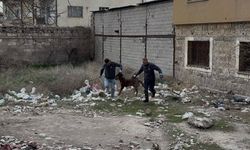 Köpek Saldırısına Uğrayan Çocuğun Babası Konuştu: "Çocuğumu Bırakması İçin Her Şeyi Denedim"