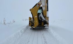 Van'da 42 yerleşim yerine ulaşım sağlanamıyor