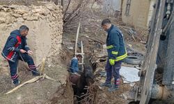 Gürpınar'da Kuyuya Düşen At Kurtarıldı