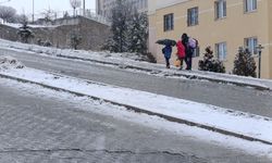 Van’da etkili olan kar yağışı hayatı olumsuz etkiledi