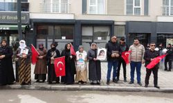 Vanlı annelerin evlat nöbeti sürüyor