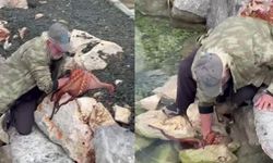 Kayalıktaki dev ahtapotu elleriyle avladı