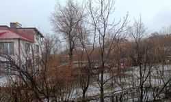 Van Gevaş’ta kar yağışı ilçeyi yeniden beyaza bürüdü.