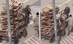 Ramazan günü pes dedirten görüntüler