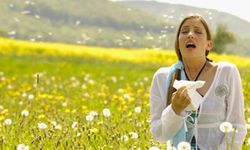 Polen Alerjisine Karşı Alınması Gereken Önlemler