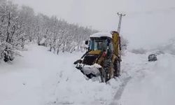 Van’da Nisan ayında kar yağışı: 93 yerleşim yerine ulaşılamıyor