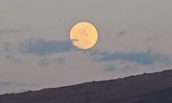 Van’da görsel şölen