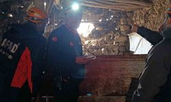 Van'da meydana gelen depremde bir ahırın duvarı çöktü