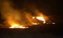 Van’da sazlık alanda yangın çıktı