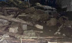 Van’da ahır çöktü: 56 küçükbaş hayvan telef oldu