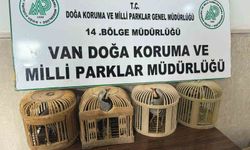 Van’da Kafes Avcılığına 86 Bin Lira Ceza
