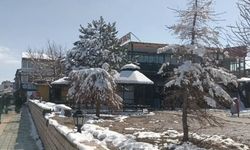 Özalp’ta nisan sürprizi: Kar yağışı