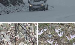 Van’ın bir tarafı bahar, diğer tarafı kış