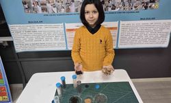 Genç mucitten dikkat çeken proje: Ceviz kabuğundan yalıtım