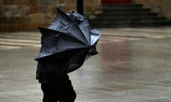 Van'da Bugün Yağışlı Hava ve Kuvvetli Rüzgar Bekleniyor