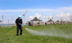 Van’da yaz öncesi kapsamlı ilaçlama çalışması başlatıldı