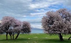 Van Gölü’nde baharın gözdesi: Çarpanak Adası ziyaretçilerini ağırlıyor