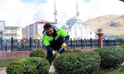 Van’da bahar temizliği başladı