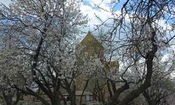 Akdamar Adası, 23 Nisan’da Yerli ve Yabancı Ziyaretçi Akınına Uğradı