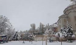 Başkale'de nisan ayında kar yağışı