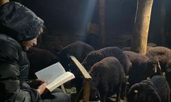 Azmiyle örnek oluyor: Gündüz hayvan bakıyor, gece çalışıyor