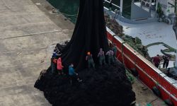 Balıkçılar "paydos" dedi